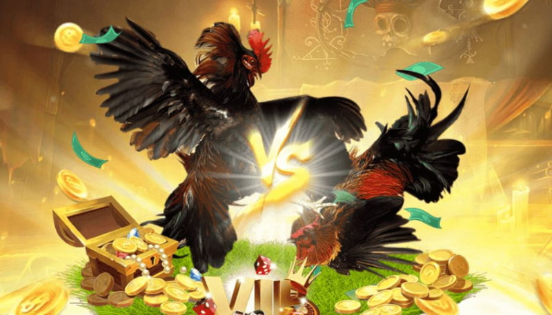 Giao diện đá gà N88 vô cùng ấn tượng