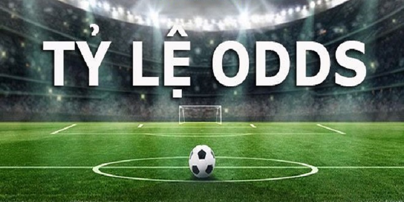 Tổng hợp các loại odds được yêu thích nhất trên thị trường