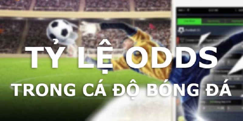 Mẹo chọn tỷ lệ odds chuẩn chỉnh cho tân thủ